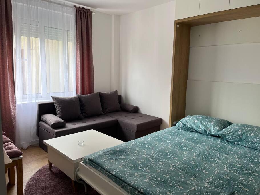 Apartment Centar 波德戈里察 外观 照片
