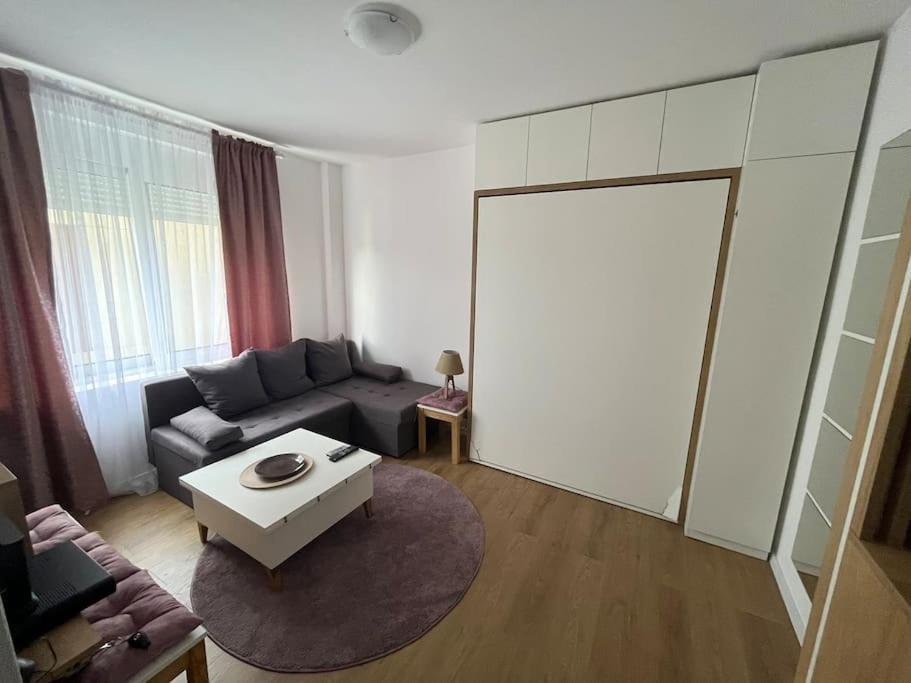 Apartment Centar 波德戈里察 外观 照片